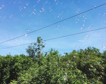 Low angle view of trees against blue sky