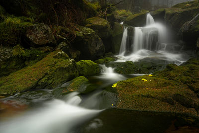 Waterfall in a misty forest vi
