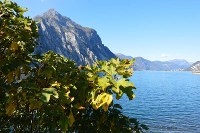 Scenic view of sea and mountains against clear blue sky