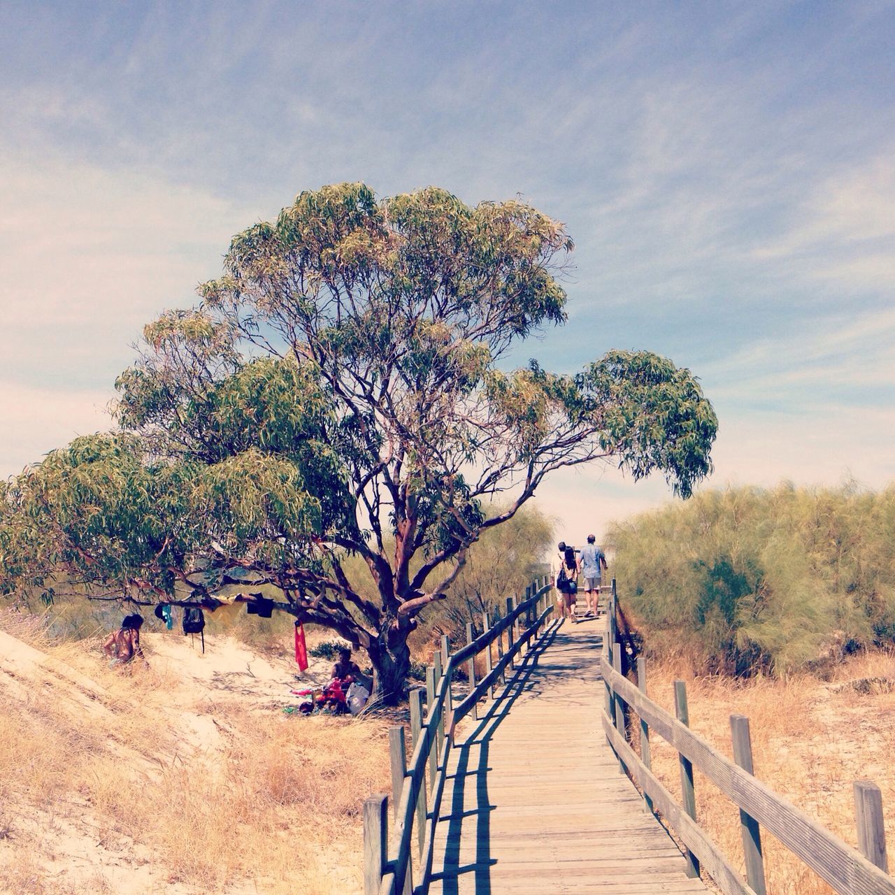 tree, lifestyles, leisure activity, sky, men, person, full length, walking, nature, togetherness, tranquility, growth, rear view, beauty in nature, the way forward, cloud - sky, tranquil scene