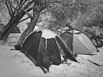 High angle view of tent on field against trees