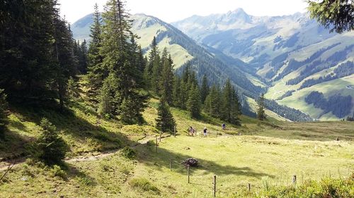 Scenic view of mountains