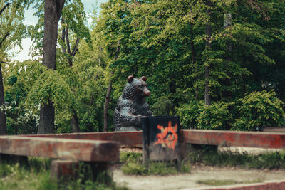 View of a dog against trees