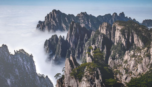 View of the clouds and the pine tree at the mountain peaks of huangshan national park, china. 