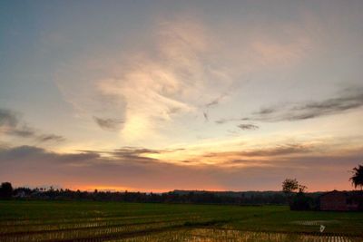 Scenic view of field against sky during sunset