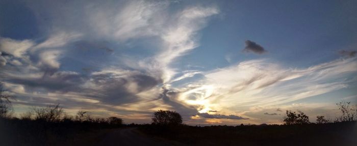 Low angle view of silhouette trees on field against sky at sunset