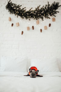 High angle view of christmas decoration on snow