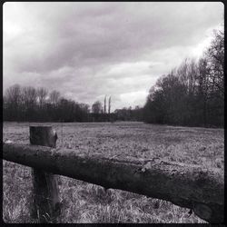 Trees on field against cloudy sky