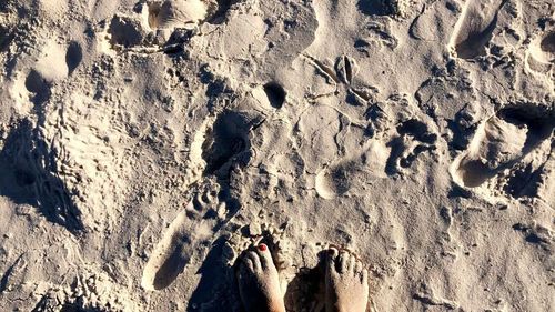 High angle view of sand at beach