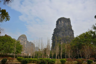 Panoramic shot of trees on land against sky