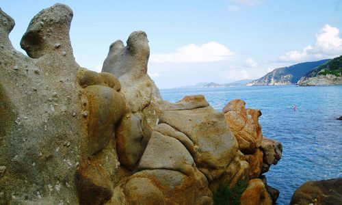 Close-up of rock by sea against sky