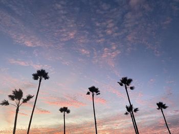Low angle view of silhouette coconut palm trees against sky during sunset