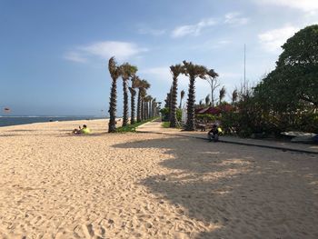 People on beach against sky