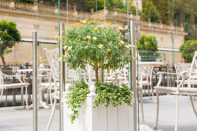 Flower pot on table against plants