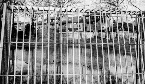 Close-up of chainlink fence