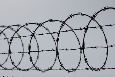 Close-up of chainlink fence