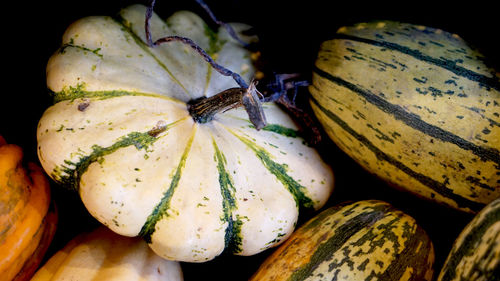 Close-up of pumpkins