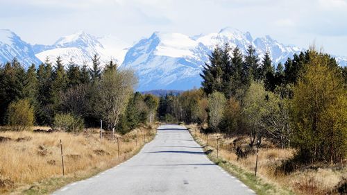 Road amidst trees and mountains against sky