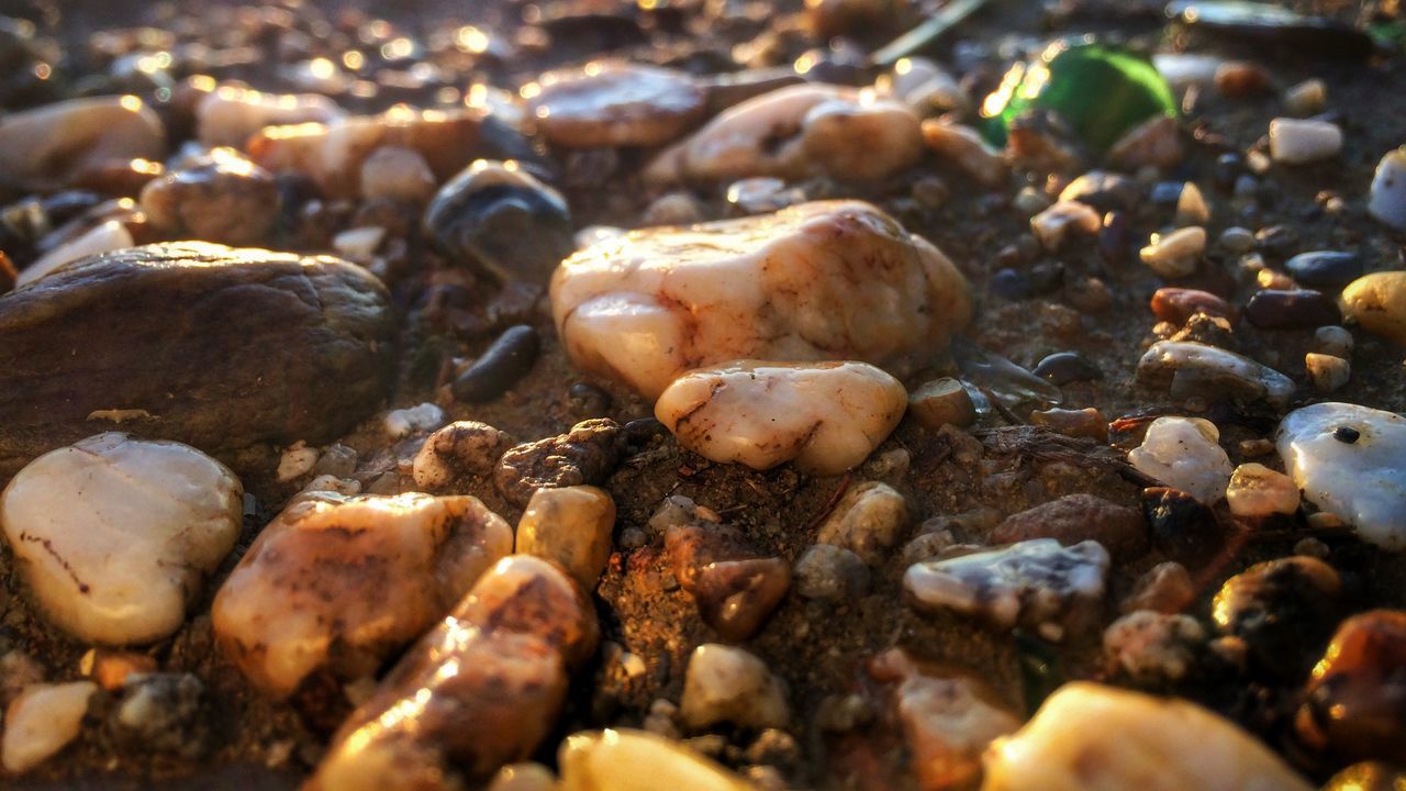beach, pebble, rock - object, stone - object, selective focus, sand, nature, shore, close-up, stone, rock, outdoors, water, day, no people, surface level, high angle view, sunlight, abundance, textured