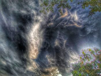 Low angle view of tree against dramatic sky