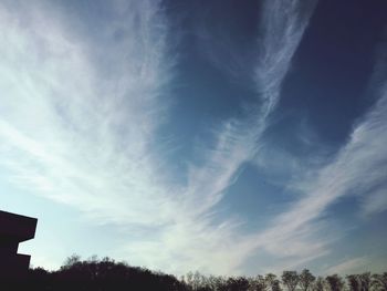 Low angle view of trees against cloudy sky