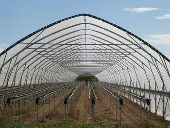 Scenic view of empty greenhouse in springtime