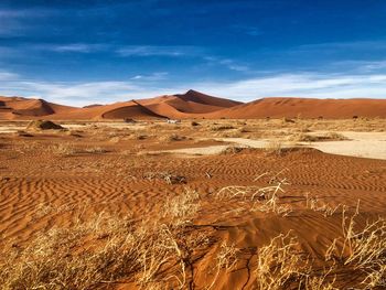 Sand dunes in desert against sky