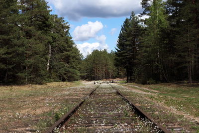 Railroad tracks amidst trees in forest against sky