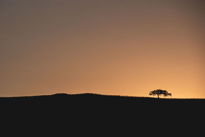 Silhouette plants on land against clear sky during sunset