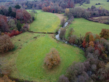 High angle view of trees on field