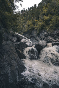 Stream flowing through rocks in forest