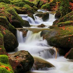 Scenic view of waterfall