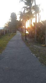 Footpath amidst trees against sky during sunset