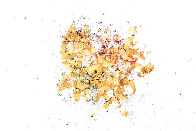 High angle view of dry leaves on white background