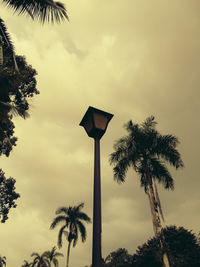 Low angle view of palm trees against cloudy sky