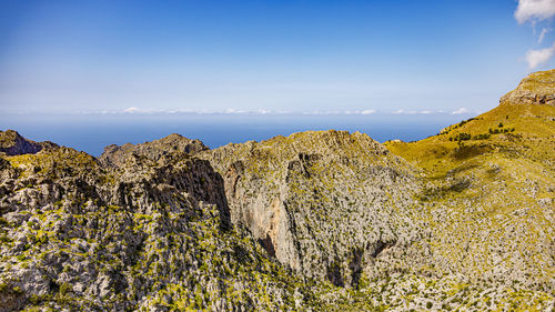 Plants growing on rock against sky