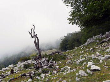 Beautiful rural landscape walking along the mount autore, in italy