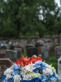 Close-up of flowers in cemetery