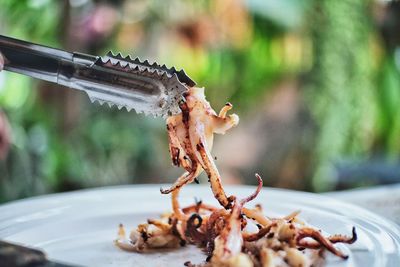 Close-up of crab on table