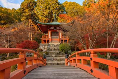 Footpath leading towards temple during autumn