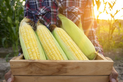 Close-up of fresh vegetables