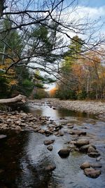 Scenic view of waterfall in forest against sky