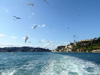 Seagulls flying over sea against sky