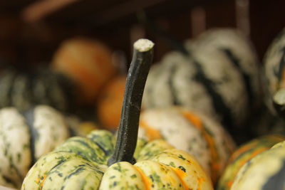 Close-up of pumpkin for sale at market