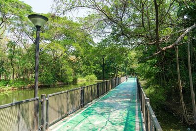 Footbridge over swimming pool by trees