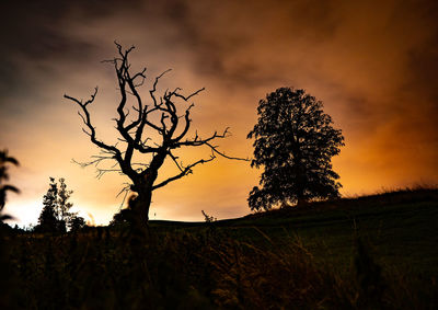 Low angle view of silhouette trees against sky during sunset