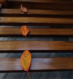 Close-up of autumn leaves on wooden table