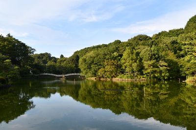 Scenic view of lake by trees against sky