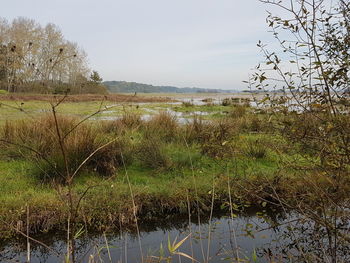 Scenic view of lake against sky