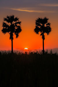 Silhouette trees on landscape against romantic sky at sunset